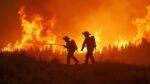 Wildland Firefighters Battle Flames That Can Change Direction in Seconds
