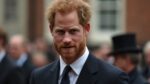 Prince Harry not planning to meet King on next UK visit